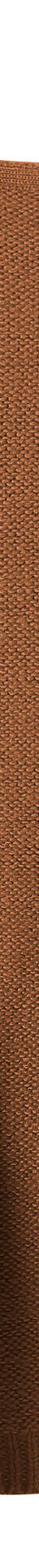 Gilet sans manches (noisette) Gilet sans manches (noisette)